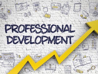 PROFESSIONAL DEVELOPMENT
